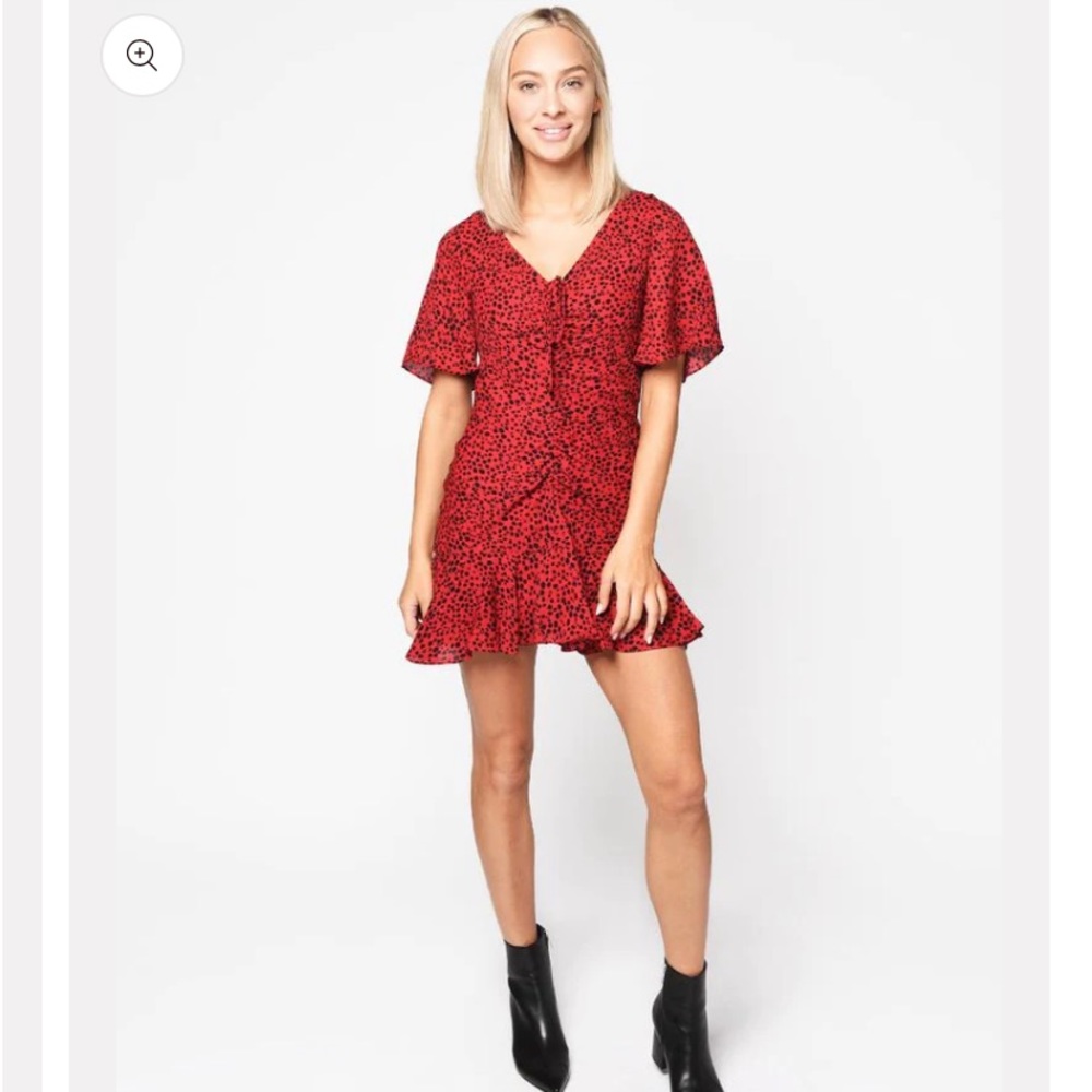 BB Dakota party animal print dress